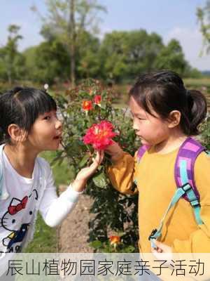 辰山植物园家庭亲子活动