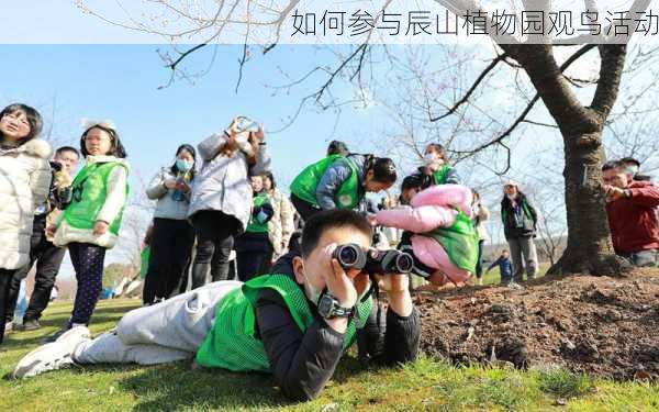 如何参与辰山植物园观鸟活动