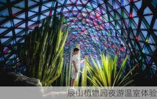 辰山植物园夜游温室体验