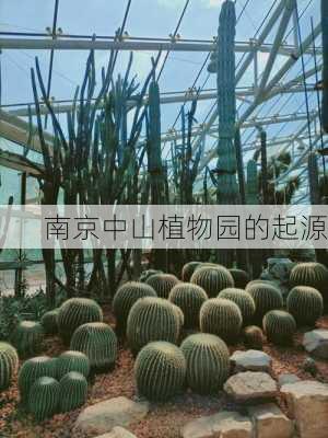 南京中山植物园的起源