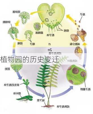 植物园的历史变迁