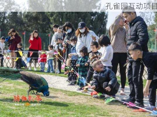 孔雀园互动项目