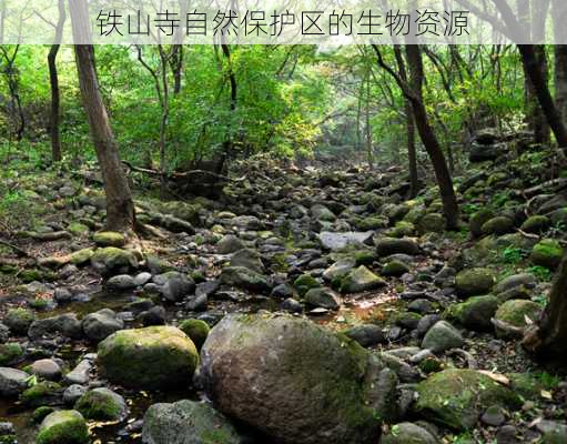 铁山寺自然保护区的生物资源