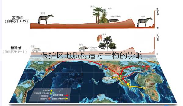 保护区地质构造对生物的影响