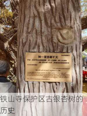 铁山寺保护区古银杏树的历史