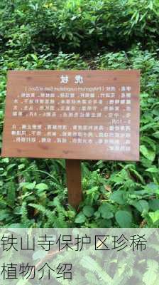 铁山寺保护区珍稀植物介绍