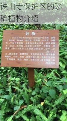 铁山寺保护区的珍稀植物介绍