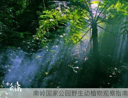 南岭国家公园野生动植物观察指南