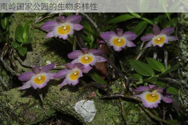 南岭国家公园的生物多样性