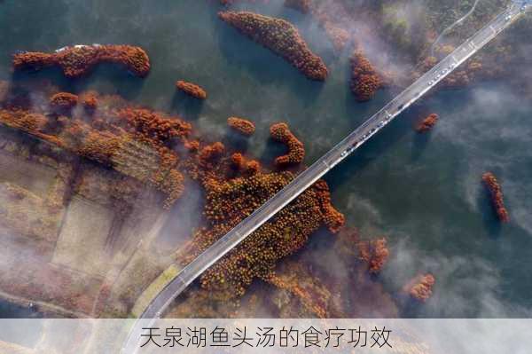 天泉湖鱼头汤的食疗功效