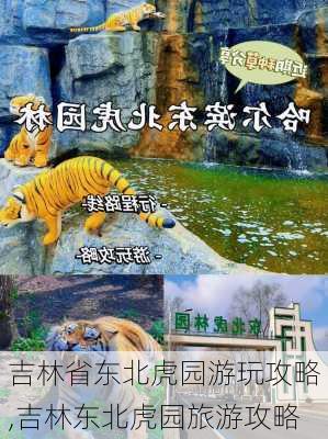 吉林省东北虎园游玩攻略,吉林东北虎园旅游攻略