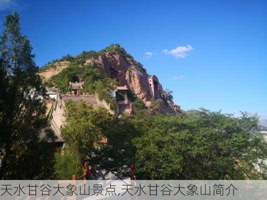 天水甘谷大象山景点,天水甘谷大象山简介