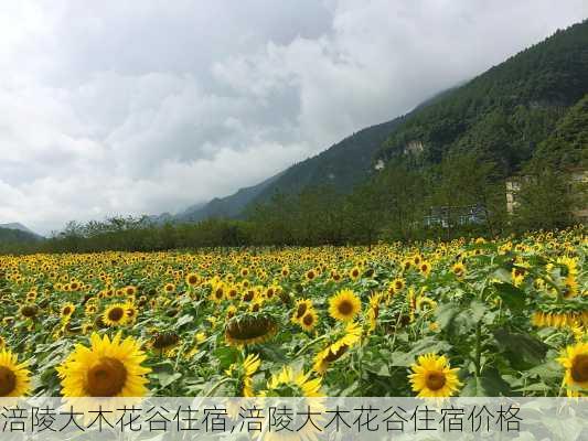 涪陵大木花谷住宿,涪陵大木花谷住宿价格