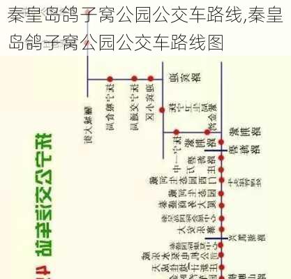 秦皇岛鸽子窝公园公交车路线,秦皇岛鸽子窝公园公交车路线图