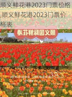 顺义鲜花港2023门票价格,顺义鲜花港2023门票价格表