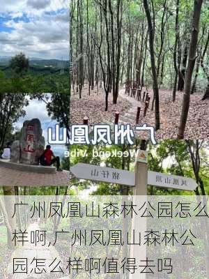 广州凤凰山森林公园怎么样啊,广州凤凰山森林公园怎么样啊值得去吗