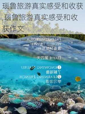 瑙鲁旅游真实感受和收获,瑙鲁旅游真实感受和收获作文