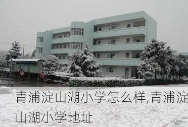 青浦淀山湖小学怎么样,青浦淀山湖小学地址