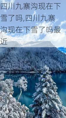 四川九寨沟现在下雪了吗,四川九寨沟现在下雪了吗最近