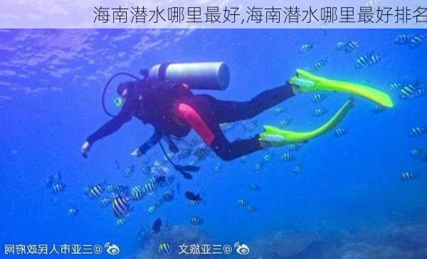 海南潜水哪里最好,海南潜水哪里最好排名