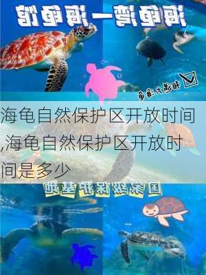 海龟自然保护区开放时间,海龟自然保护区开放时间是多少