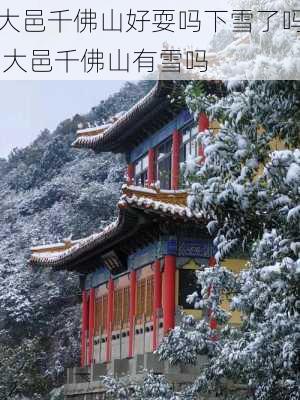 大邑千佛山好耍吗下雪了吗,大邑千佛山有雪吗