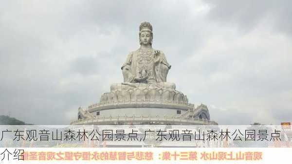 广东观音山森林公园景点,广东观音山森林公园景点介绍