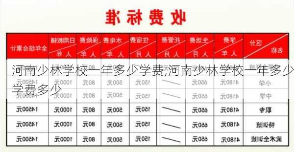 河南少林学校一年多少学费,河南少林学校一年多少学费多少