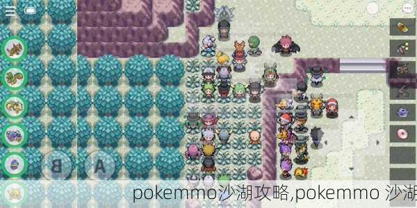 pokemmo沙湖攻略,pokemmo 沙湖