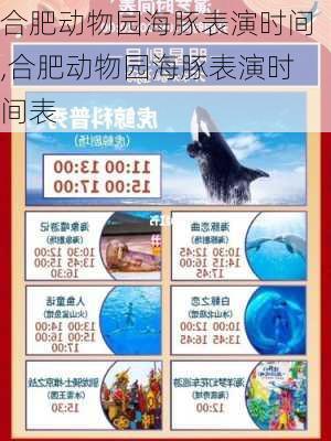 合肥动物园海豚表演时间,合肥动物园海豚表演时间表