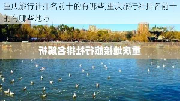 重庆旅行社排名前十的有哪些,重庆旅行社排名前十的有哪些地方