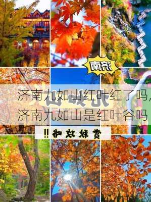 济南九如山红叶红了吗,济南九如山是红叶谷吗