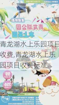 青龙湖水上乐园项目收费,青龙湖水上乐园项目收费标准