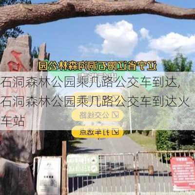 石洞森林公园乘几路公交车到达,石洞森林公园乘几路公交车到达火车站