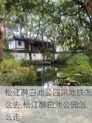 松江醉白池公园乘地铁怎么去,松江醉白池公园怎么走