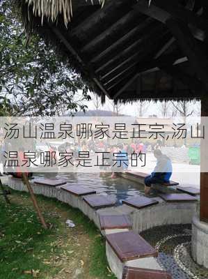 汤山温泉哪家是正宗,汤山温泉哪家是正宗的