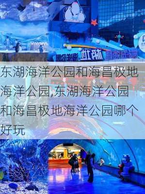 东湖海洋公园和海昌极地海洋公园,东湖海洋公园和海昌极地海洋公园哪个好玩