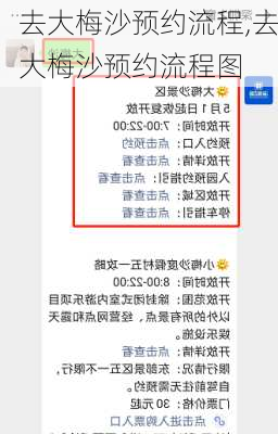 去大梅沙预约流程,去大梅沙预约流程图