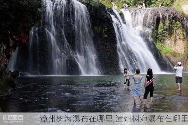 漳州树海瀑布在哪里,漳州树海瀑布在哪里