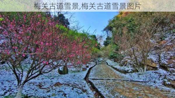 梅关古道雪景,梅关古道雪景图片