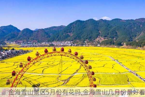 金海雪山景区5月份有花吗,金海雪山几月份最好看