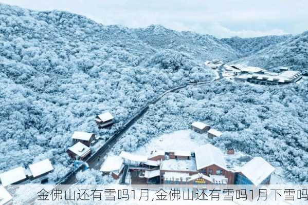 金佛山还有雪吗1月,金佛山还有雪吗1月下雪吗