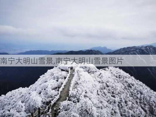 南宁大明山雪景,南宁大明山雪景图片