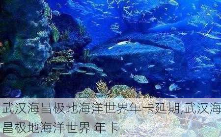 武汉海昌极地海洋世界年卡延期,武汉海昌极地海洋世界 年卡