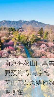 南京梅花山门票需要预约吗,南京梅花山门票需要预约吗现在