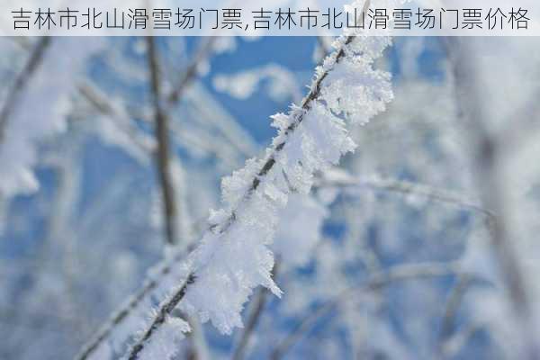 吉林市北山滑雪场门票,吉林市北山滑雪场门票价格