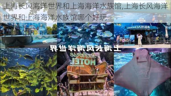 上海长风海洋世界和上海海洋水族馆,上海长风海洋世界和上海海洋水族馆哪个好玩