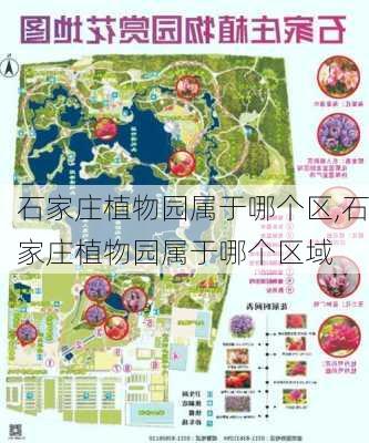 石家庄植物园属于哪个区,石家庄植物园属于哪个区域