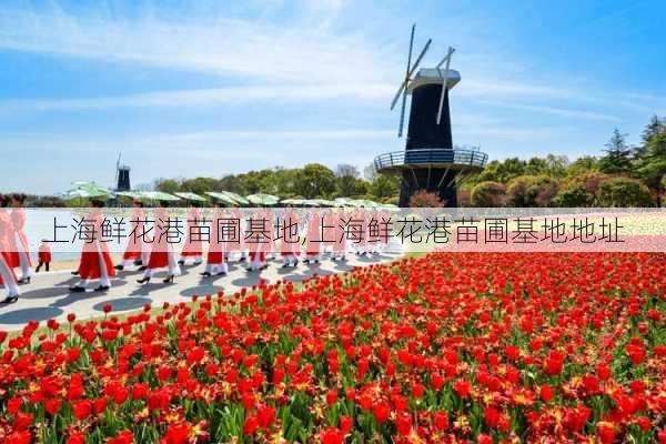 上海鲜花港苗圃基地,上海鲜花港苗圃基地地址