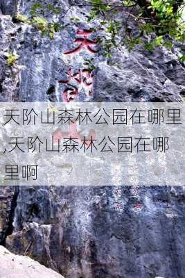 天阶山森林公园在哪里,天阶山森林公园在哪里啊